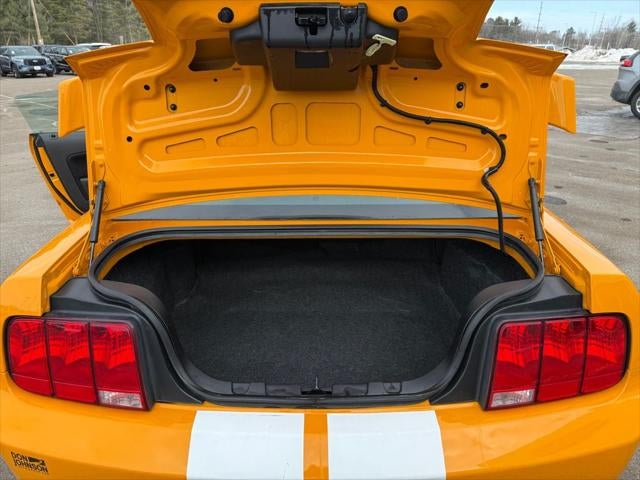 2007 Ford Mustang GT Deluxe